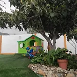 Siempreviva לאס פאלמס דה גראן קנאריה