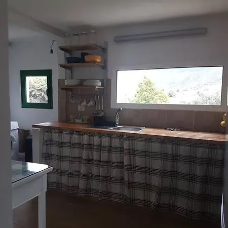 Siempreviva Las Palmas de Gran Canaria