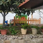 Siempreviva * Las Palmas de Gran Canaria