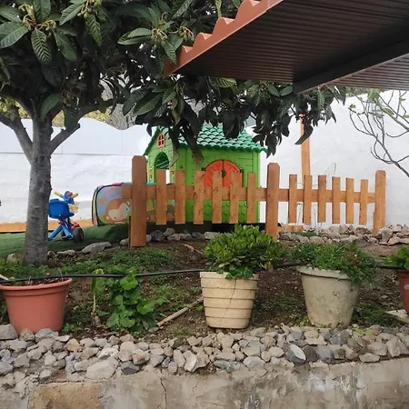 Siempreviva * Las Palmas de Gran Canaria