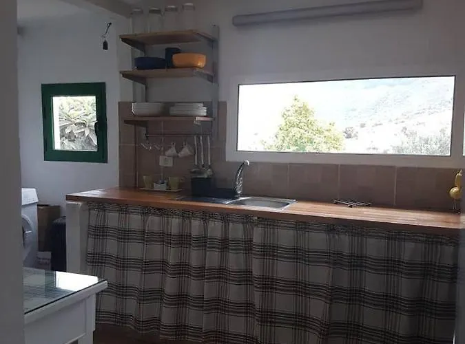 Siempreviva 大加那利岛拉斯帕尔马斯