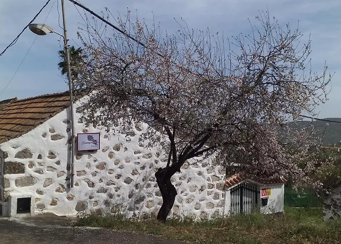 Siempreviva * Las Palmas de Gran Canárias