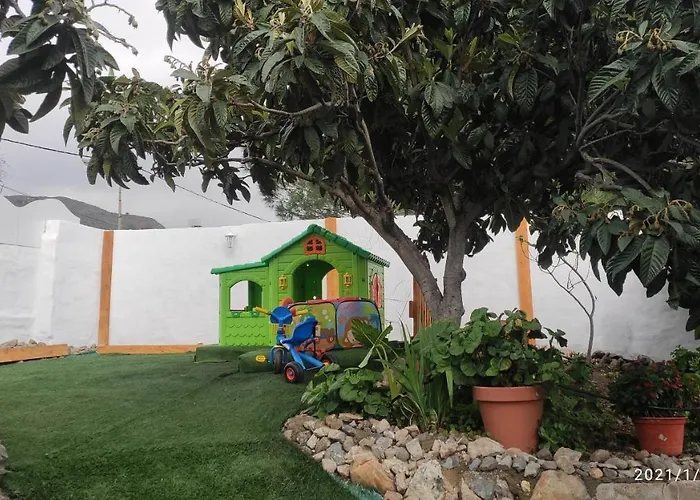 Siempreviva Las Palmas de Gran Canárias