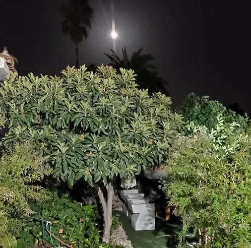 Siempreviva 木屋 大加那利岛拉斯帕尔马斯