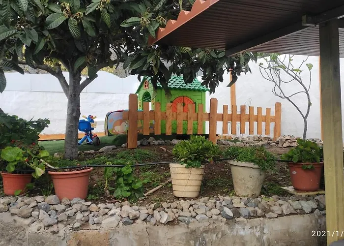 Siempreviva * Las Palmas de Gran Canárias