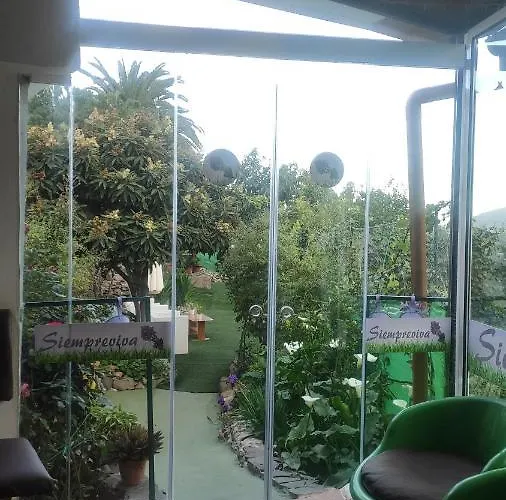 Siempreviva Las Palmas de Gran Canárias