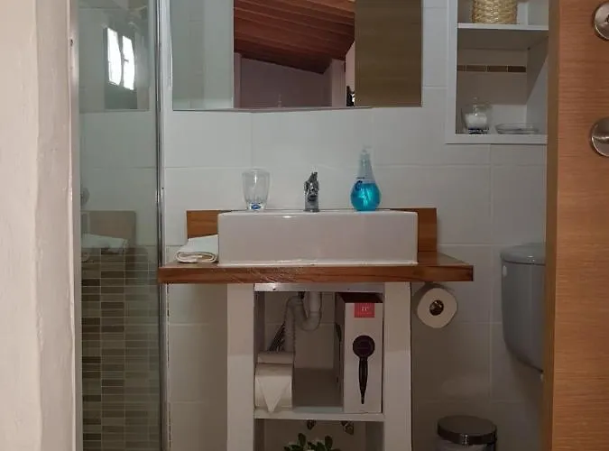 Siempreviva Las Palmas